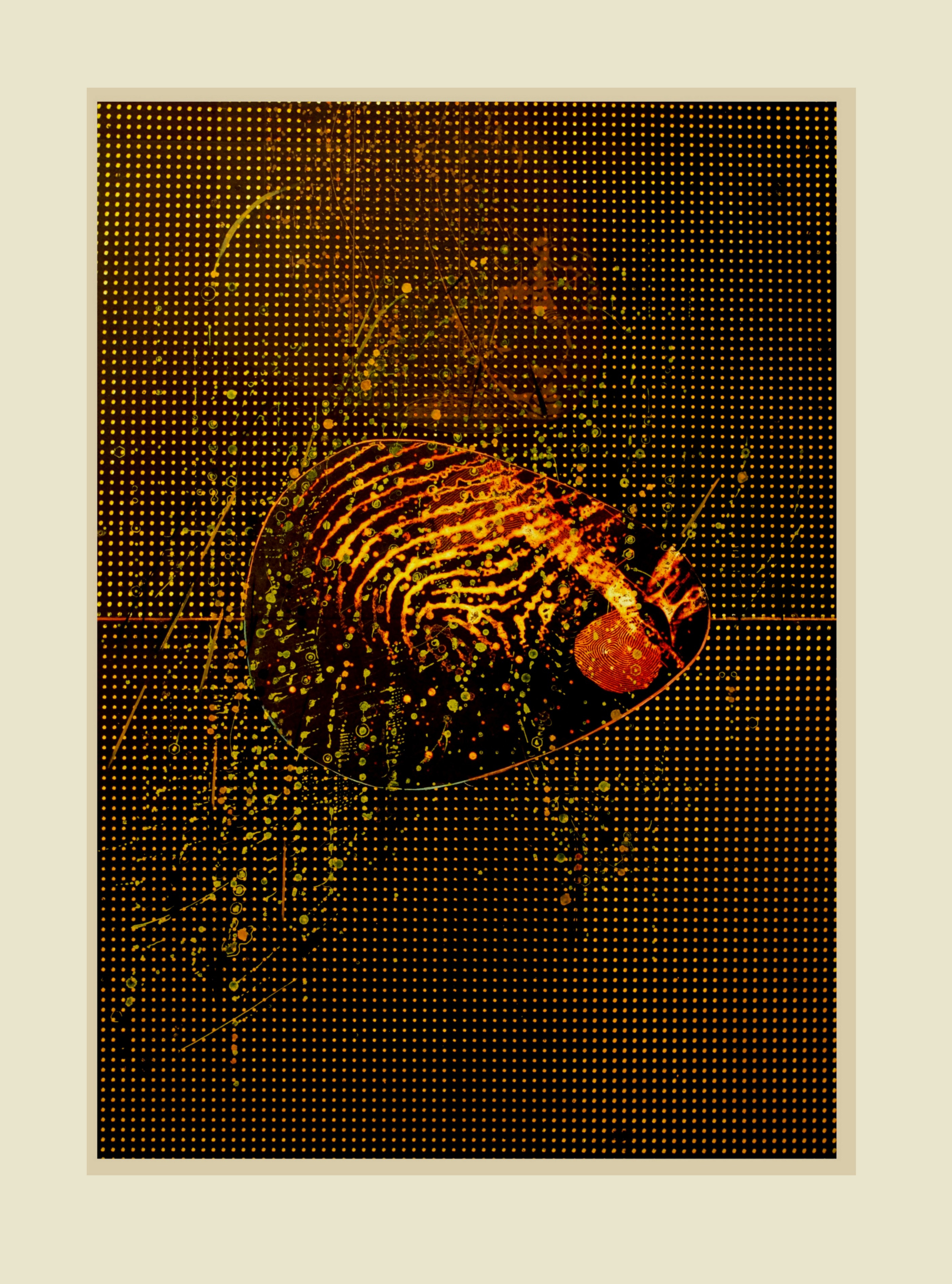  -Drabant - (variant no.:1) 